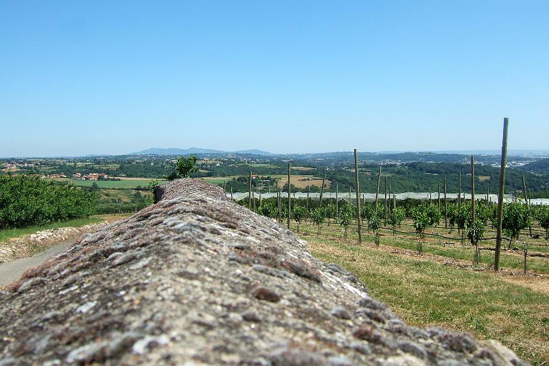 2011-05- (287).JPG